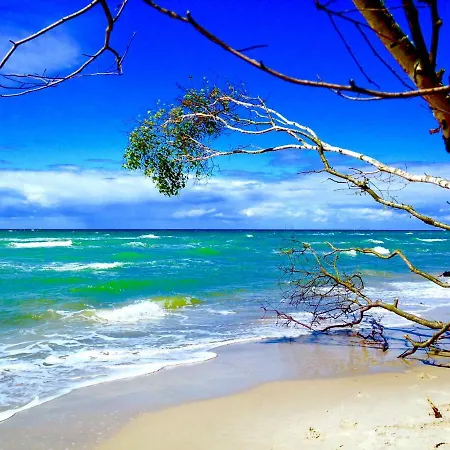 Haus Auf Der Alten Duene 2 *