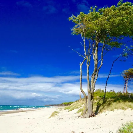 Apartment Haus Auf Der Alten Duene 2