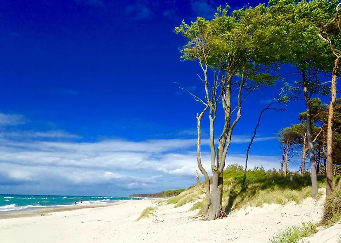 Lägenhet Haus Auf Der Alten Duene 2
