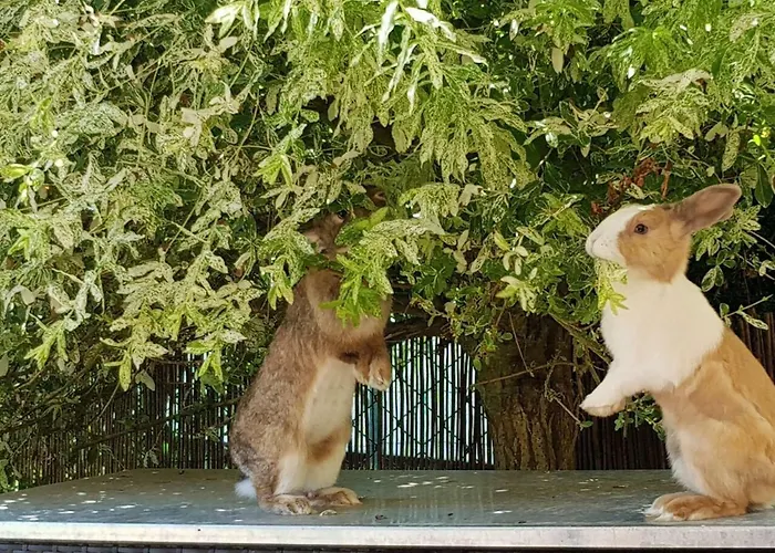 Haus Auf Der Alten Duene 2 Lägenhet
